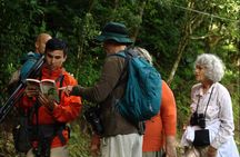 Monteverde Cloud Forest Tour with a Certified Tour Guide