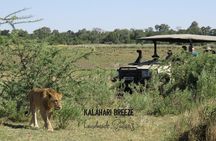 8 Day Highlights Of Botswana & Victoria Falls Overland Tour 