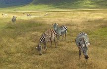 3 Day Private Safari in Serengeti and Ngorongoro National Park