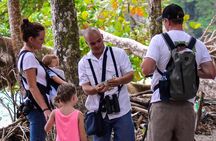 Deluxe Private Manuel Antonio Park Tour