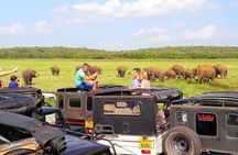 trip sri lanka (10 Days , 9 Nights) with driver, vehicle and H/B accommodations