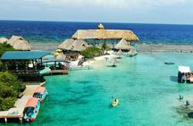 Roatan Shore Excursion: Kayak Harbor Adventure and Reef Snorkel