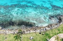 4x1 Magical tour. Tulum, Coba, a cenote & Playa del Carmen. Lunch included.