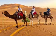  1 Night All inclusive Camel Ride & Desert Camp