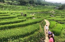 5 Days tour Halong Bay - Sapa - Hanoi