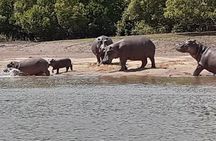 7 days Mikumi , Ruaha & Selous Game Reserve 