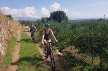 Pure Cycling Mtb Experience