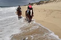 Day trip to Macaneta beach + horse ride