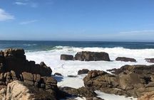 Mosselbay Day tour