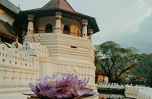 Kandy City Tour and day trip private luxury car and van