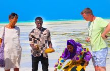 Jambiani Village Tour and Dhow Sailing