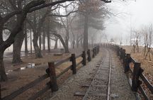 Day Tour to Gangchon Rail Bike Nami Island and Petite France