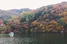 Day Tour to Gangchon Rail Bike Nami Island and Petite France