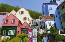 Day Tour to Gangchon Rail Bike Nami Island and Petite France