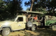 Chobe Overnight Camping safaris