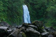 Waterfall And Champagne Reef Adventure
