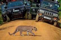 Sri Lanka private tour package 9 night 10 Day with driver+vehicle+accommodations
