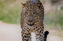 Sri Lanka private tour package 9 night 10 Day with driver+vehicle+accommodations