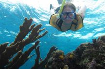 Palancar, Columbia and El Cielo Cozumel Snorkeling Tour