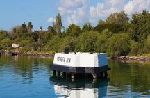 Complete Pearl Harbor Experience Tour Departing from Waikiki Area