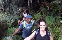 Private Breathtaking Mnt Victoria Day Trek 