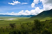 1 Day Joined Group Safari in Ngorongoro Crater National Park