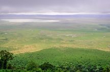 1 Day Joined Group Safari in Ngorongoro Crater National Park
