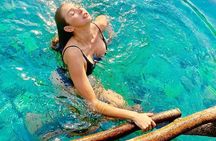 Discover "Crater Azul" & Its Crystal-Clear Waters On A Full-Day Tour From Flores