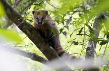 Trails, Flights and Tours in the South Canyons - Aparados da Serra