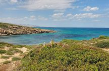 Vendicari Nature Reserve Tour 