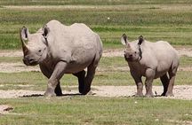 4 Day Joined Group Safari Ngorongoro, Manyara,Tarangire and Arusha National Park