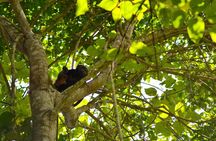 Full day : Forest and the fisherman Trail (From Guayaquil)