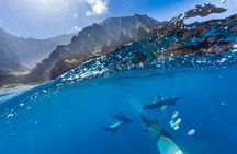 Na Pali Coast - Summer Sea Kayaking Tour