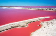 Ek Balam, Rio Lagartos and Las Coloradas Private Tour from Cancun