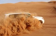 Dubai Evening Desert Safari Camel Ride, BBQ & Live Show Options