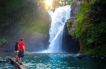 Ubud Tour with Swing, Temple, Monkey Forest, and Waterfall
