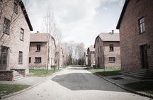 Combined: Auschwitz Birkenau and Salt Mine private chauffeur from Krakow