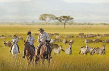 7 Day Joined Safari Serengeti,Ngorongoro,Manyara,Tarangire,Arusha National Park
