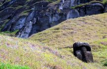 T4-ISLAND TOUR: MAIN SITES (non-cruise visitors)