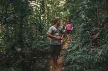 Walkabout Cultural Adventures - Ngana Julaymba Dungay Full Day