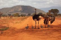 3 days Red elephant safari 