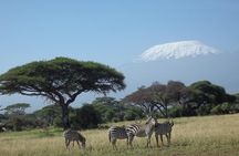 3 days Red elephant safari 