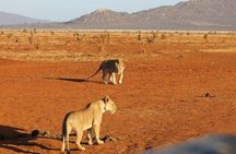 3 days Red elephant safari 