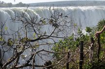 Guided Tour Of The Victoria Falls