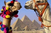 Half Day Tour to Giza Pyramids & Sphinx