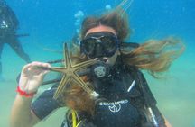 Try a DIVE, discover scuba diving in Mykonos