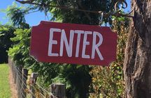 Maui Tour : Iao Valley, Hawaiian Distillery and Lavender Farm Tour