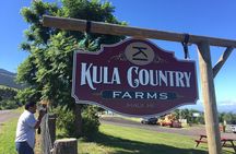 Maui Tour : Iao Valley, Hawaiian Distillery and Lavender Farm Tour