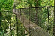 Tirolinas & Hanging Bridges Day Trip in Monteverde