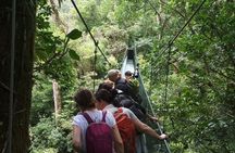Tirolinas & Hanging Bridges Day Trip in Monteverde